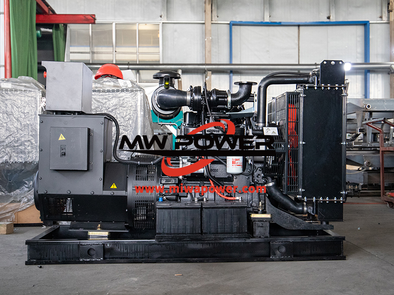 50KW الكمون مولد المثبتة في مصنع توابل الطعام